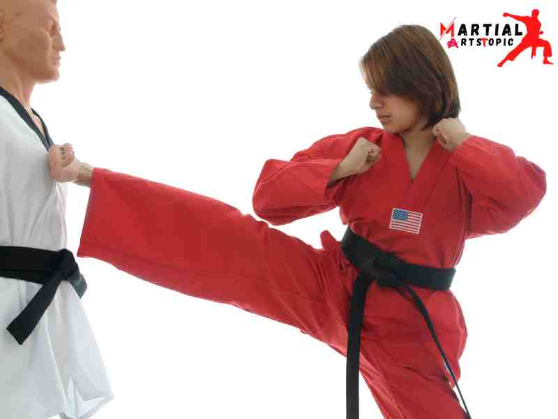 Best Kicking Martial Arts