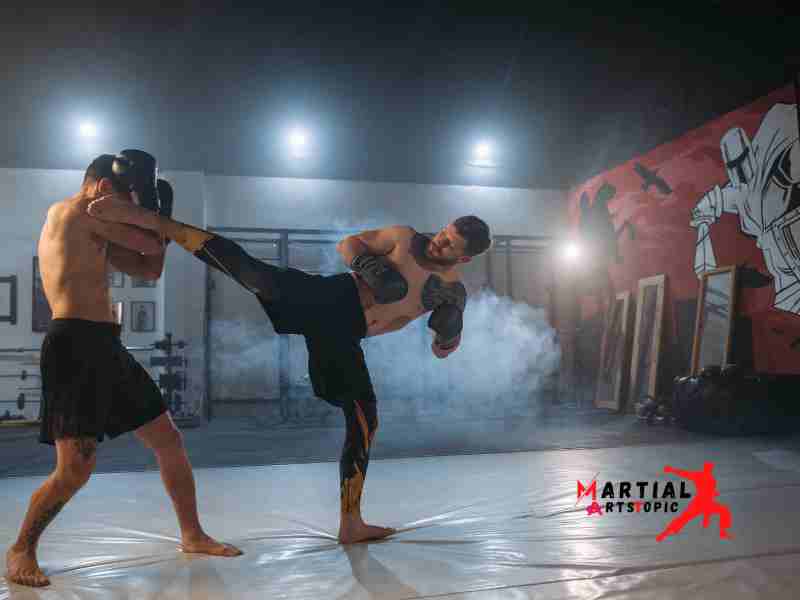 Hybrid Martial Arts