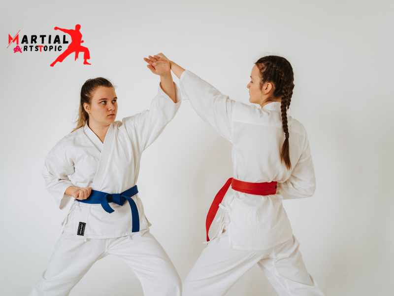 Karate types of martial arts