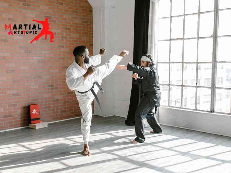 What is Kyokushin Karate