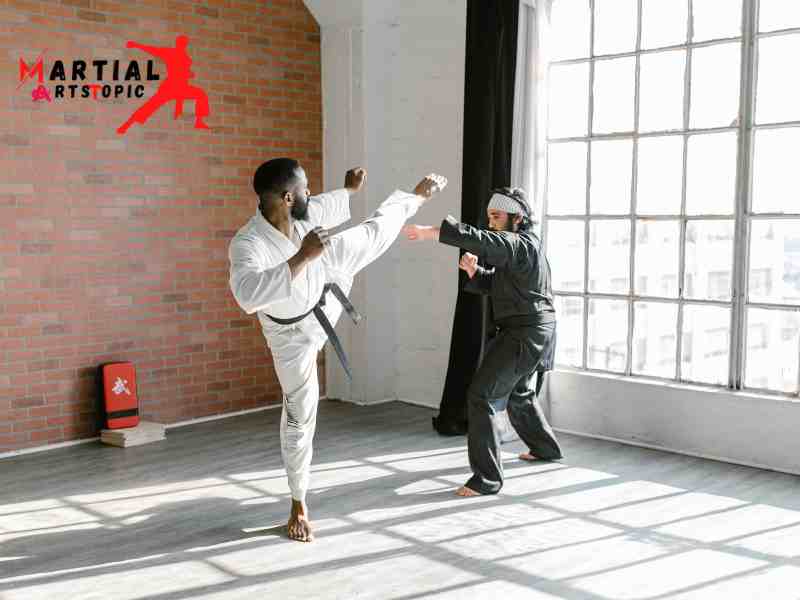 What is Shotokan Karate