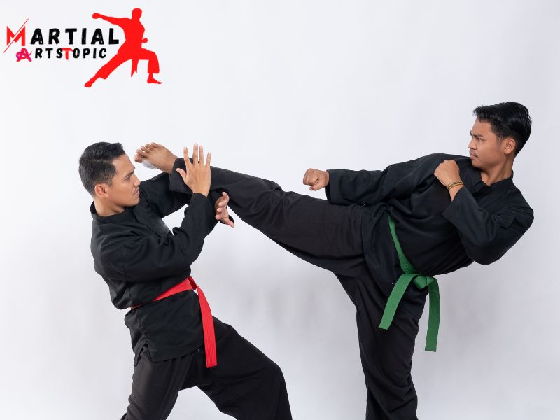 Types of Martial Arts Kicks