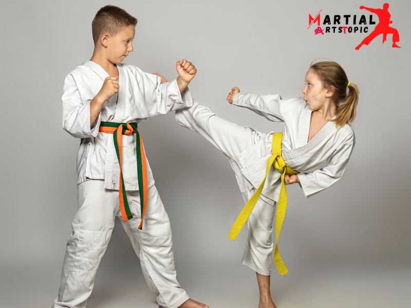 What-is-the-importance-of-martial-arts-in-our-life