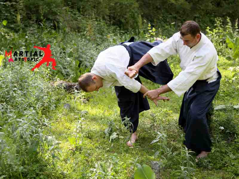 What is Aikido Martial Arts?