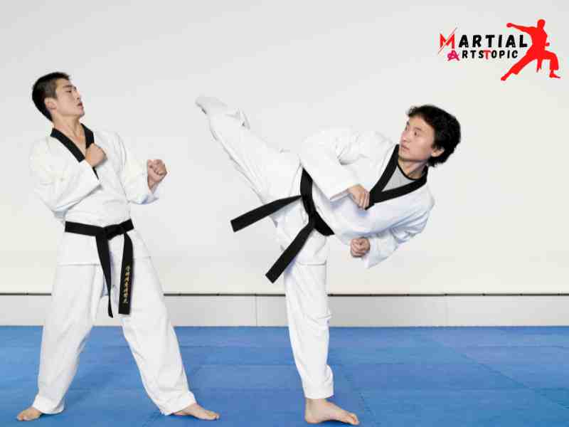 what is Taekwondo