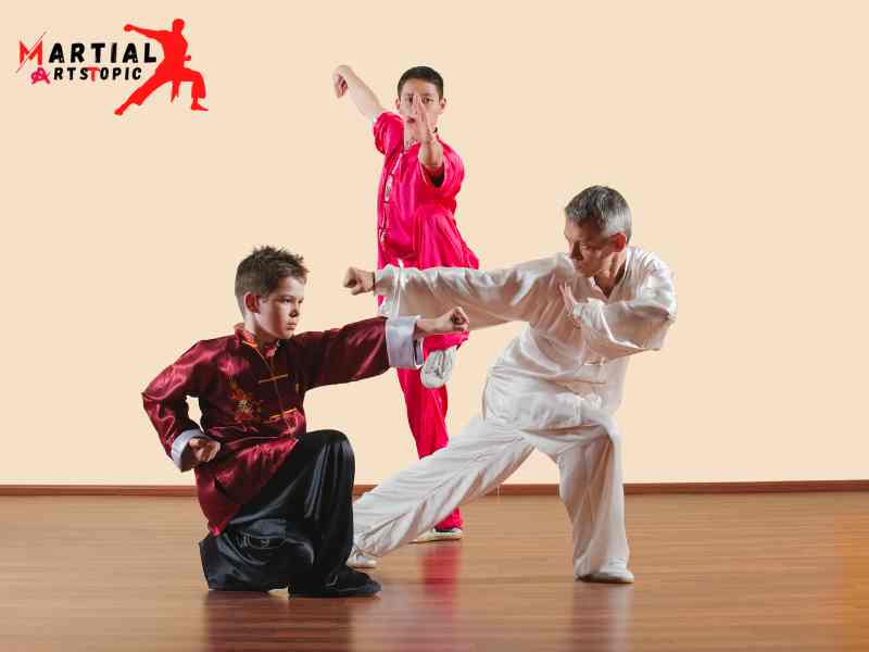 Chinese martial arts styles