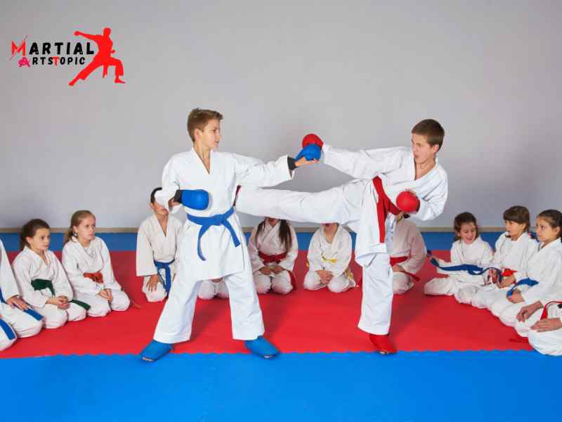 Enshin Karate: Unveiling the Power