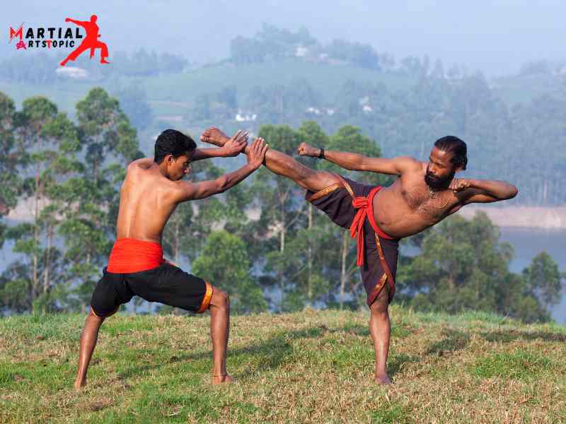What is Kalaripayattu Martial Arts