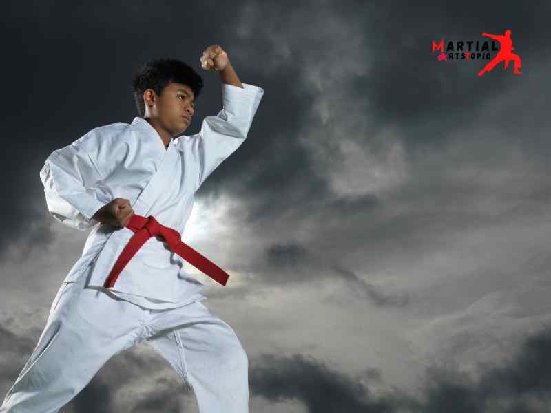 What is Sabaki Karate