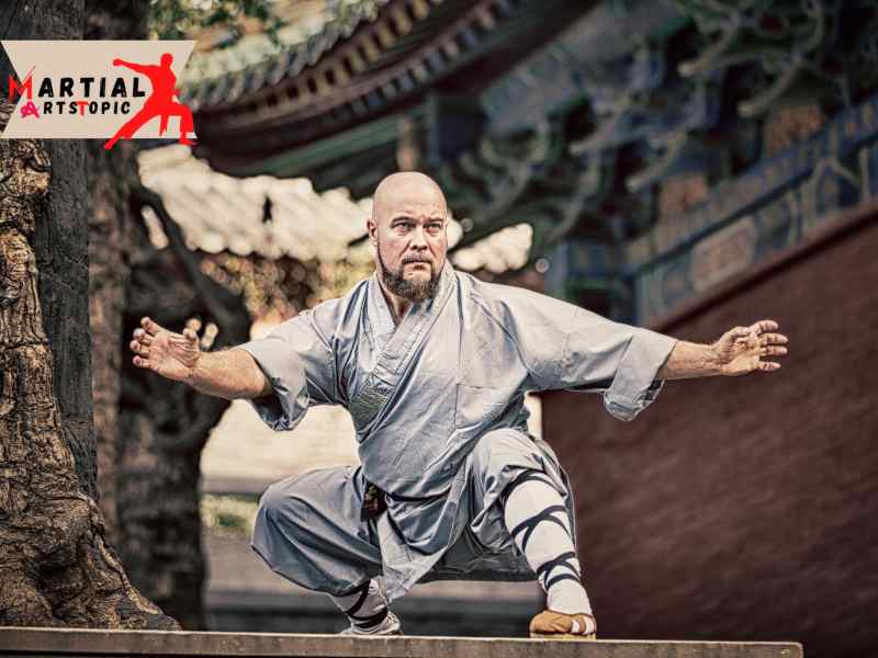 What is Shaolin Wushu?