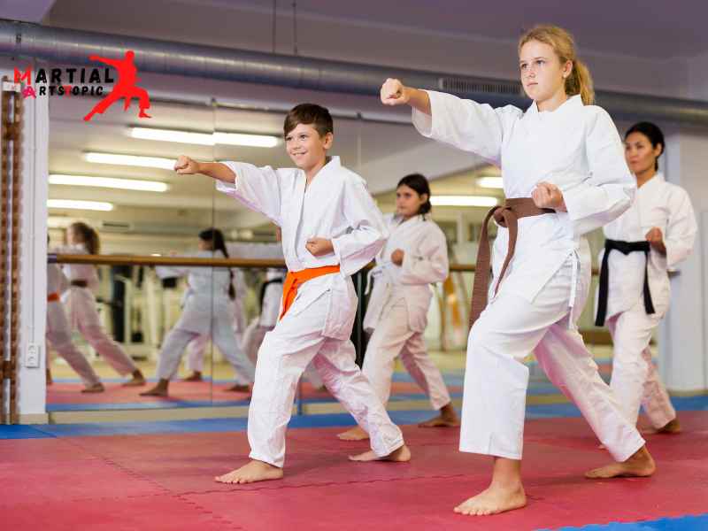 What is Wado-Ryu Karate