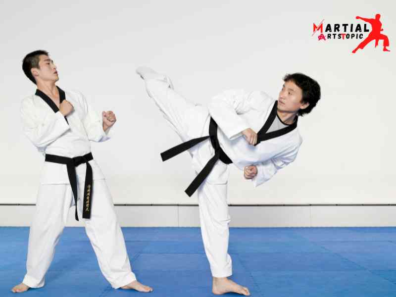 Why Taekwondo is bad