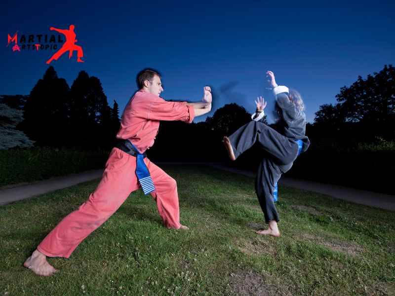 What is Xingyiquan