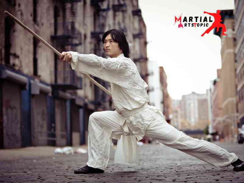 kung fu martial arts