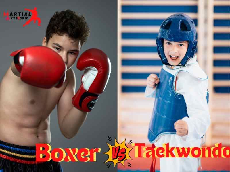 Boxer vs Taekwondo