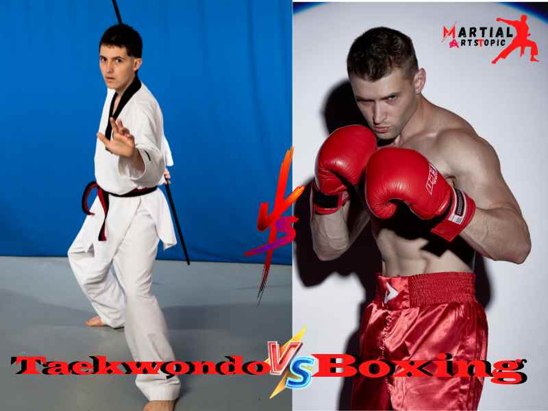Taekwondo vs Boxing
