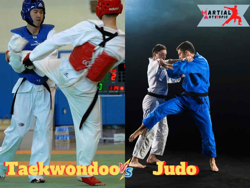Taekwondo vs Judo
