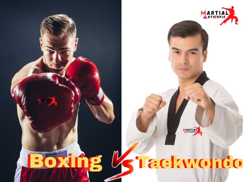 Boxing vs Taekwondo