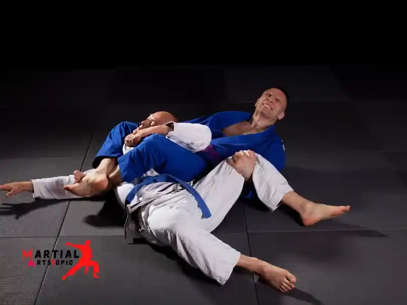 Basic Brazilian Jiu Jitsu Movements