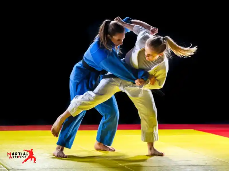 Judo techniques