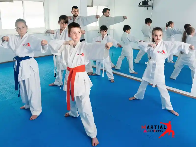 Shito-Ryu Karate