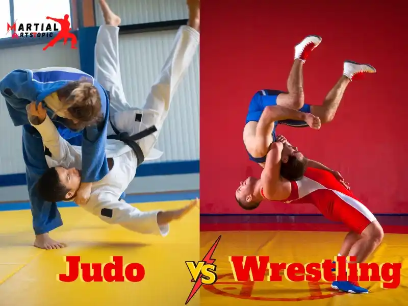 Judo vs Wrestling
