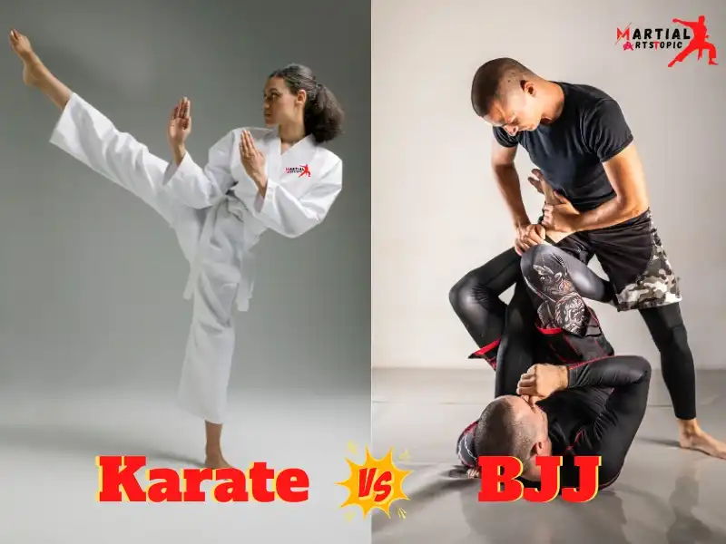 Karate vs BJJ