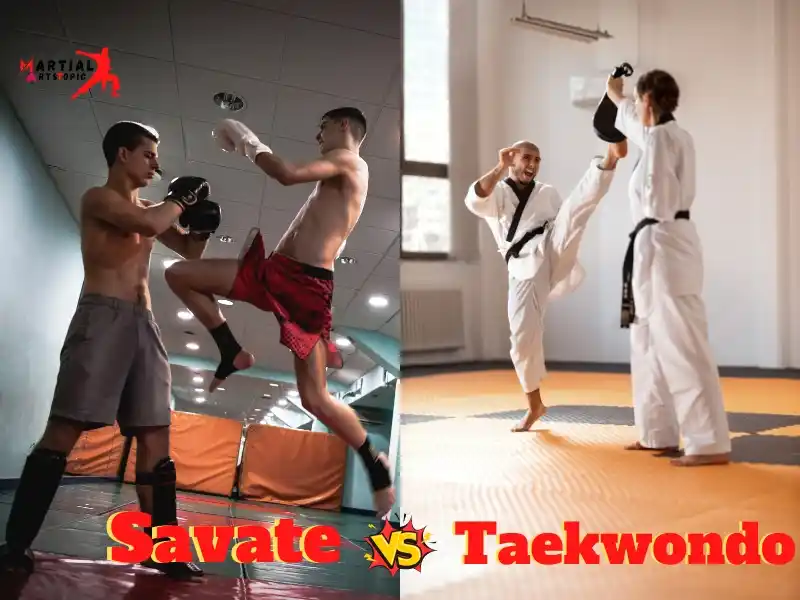 Savate vs Taekwondo
