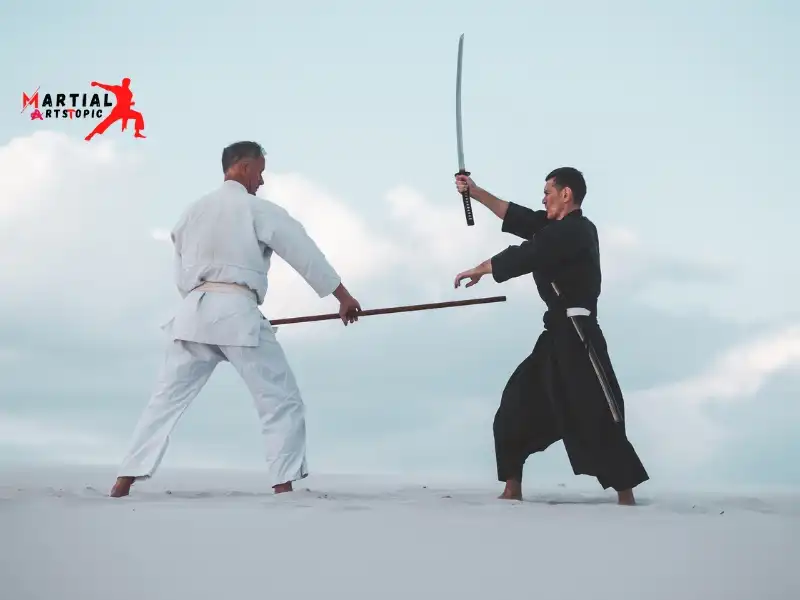 Best Japanese Martial Arts