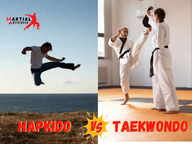 Hapkido vs Taekwondo