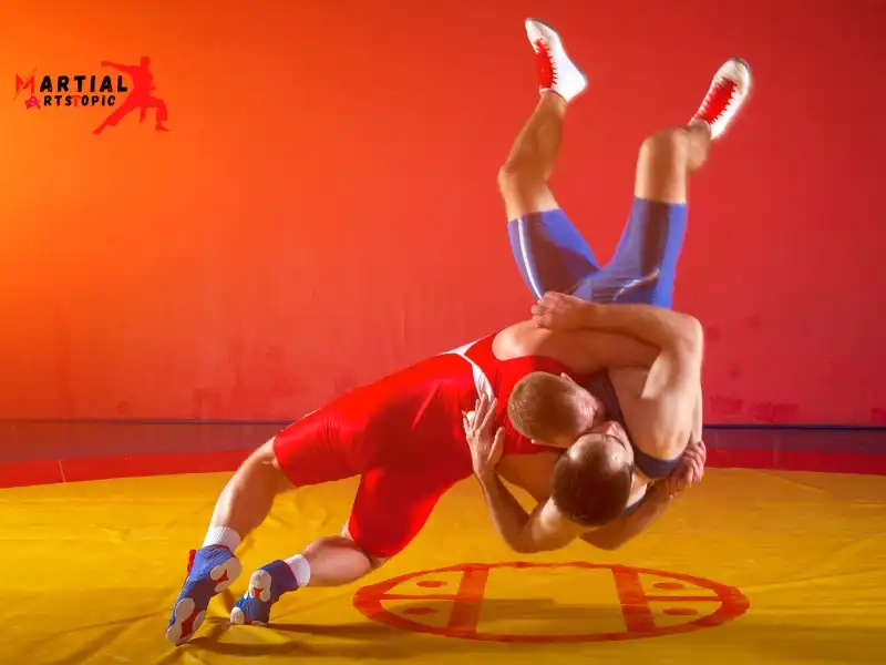 Folkstyle Wrestling Moves